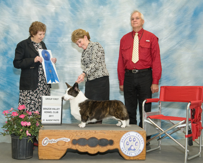 Saturday's Herding Group Winner